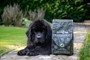 Junior Large Breed Pakket