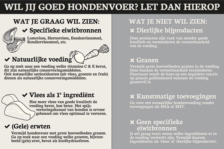 Infographic voor goed hondenvoer