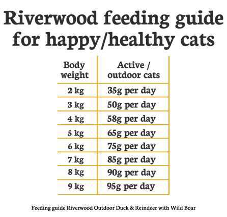 Riverwood Outdoor Kat - Eend & Rendier met Everzwijn