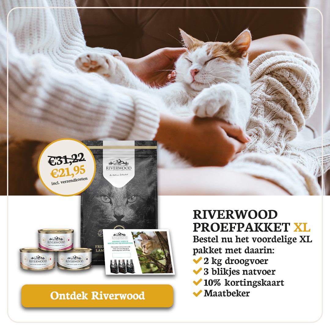 Riverwood Proefpakket Kat XL 1200 X 628