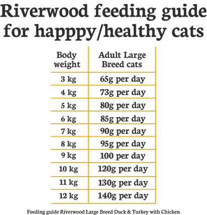 Riverwood Large Breed Kat - Eend & Kalkoen met Kip