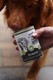 Riverwood wet food mono protein Turkey 400 grams
