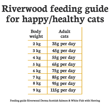 Riverwood Derma Cat - Scottish Salmon & Whitefish with Herring